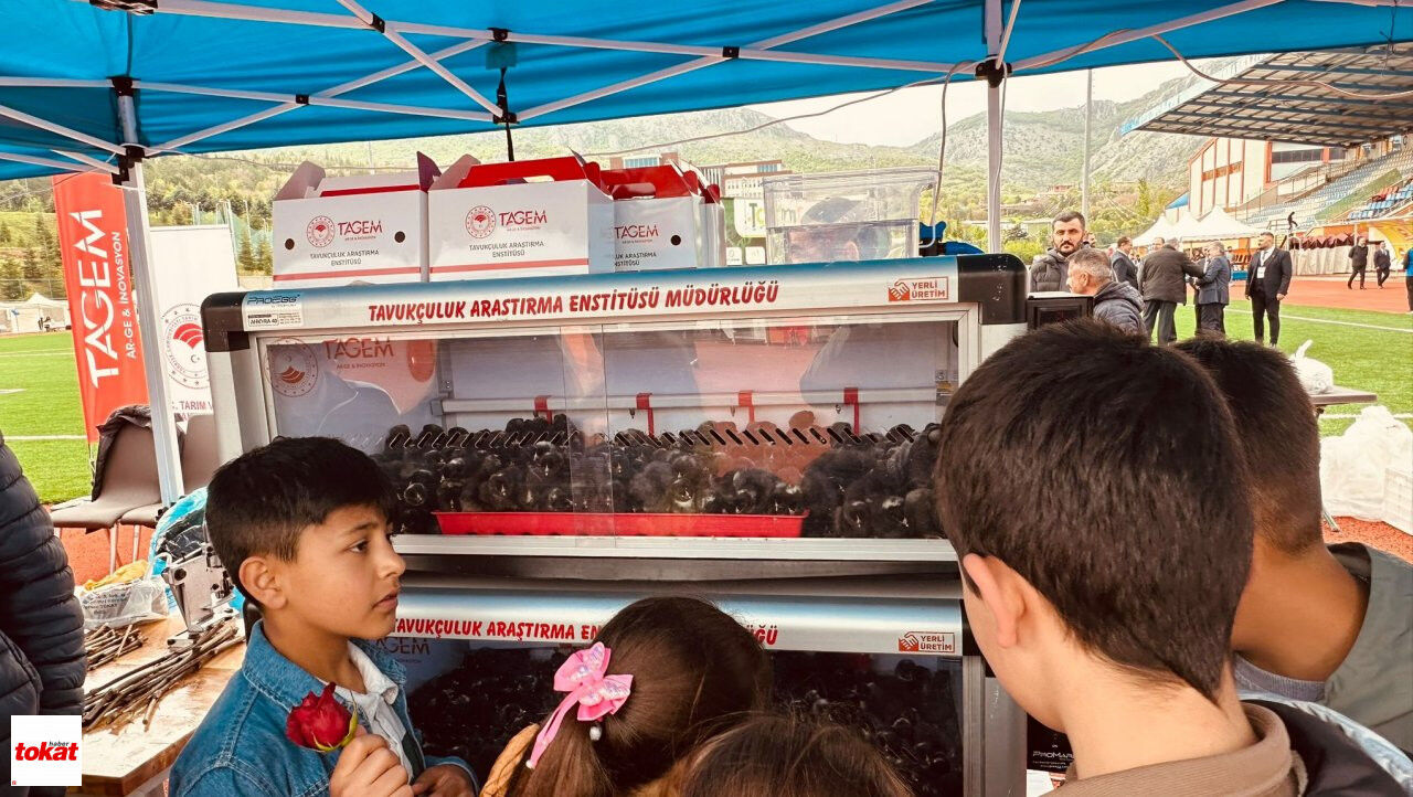 Tarımfest4