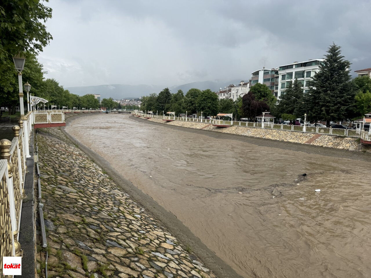 Tokat Taşkın Önlem (2)