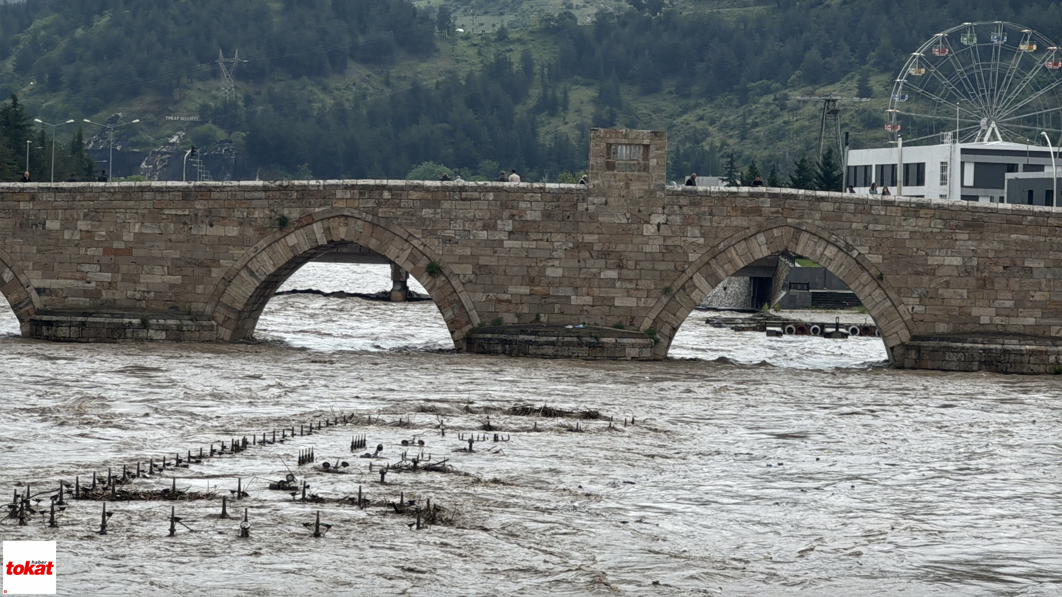 Tokat Taşkın Önlem (3)