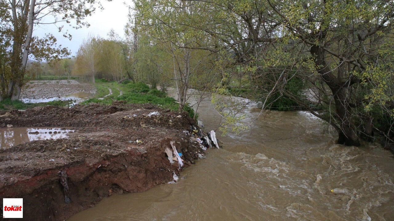 Tokat'ta Yağmur Sonrası Bazı Ekili Alanlar Su Altında Kaldı2