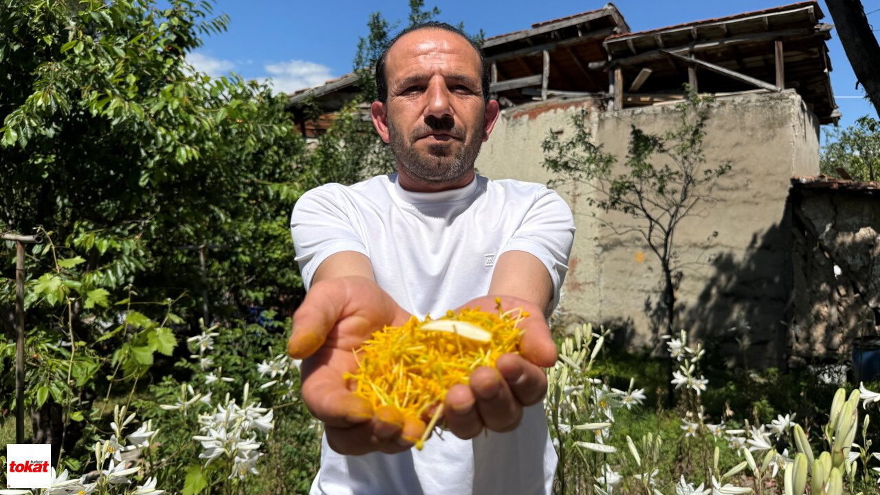 Ak Zambak (6)