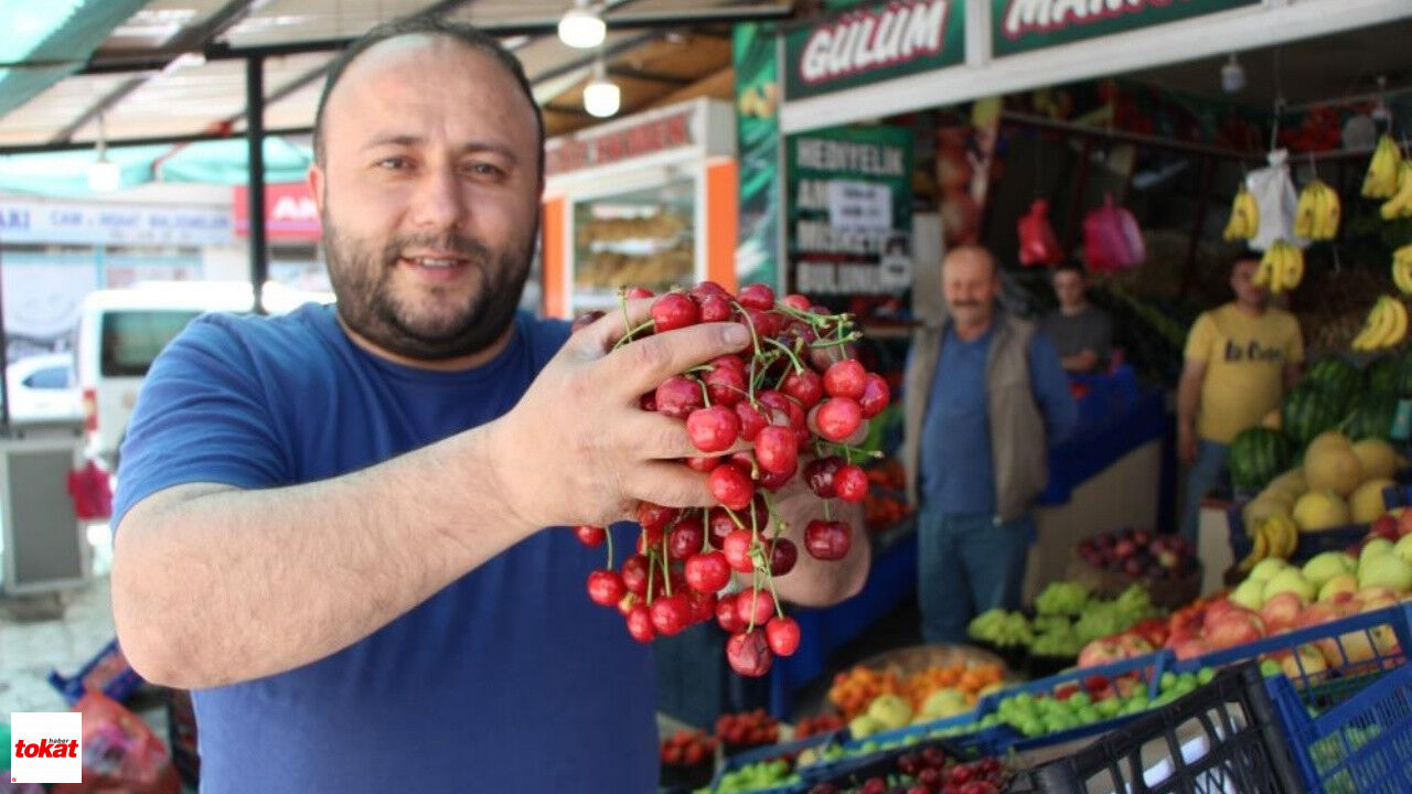 Amasya Kirazı Tokat Kirazı1