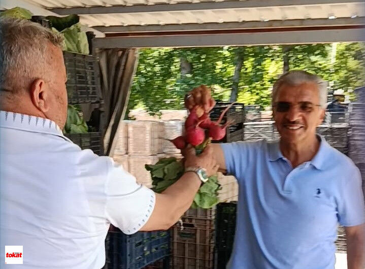 Kavak Emice Tarım (1)