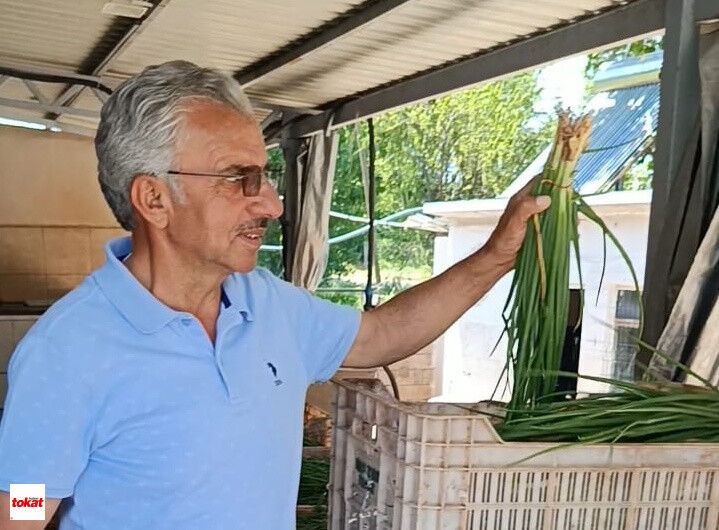 Kavak Emice Tarım (2)