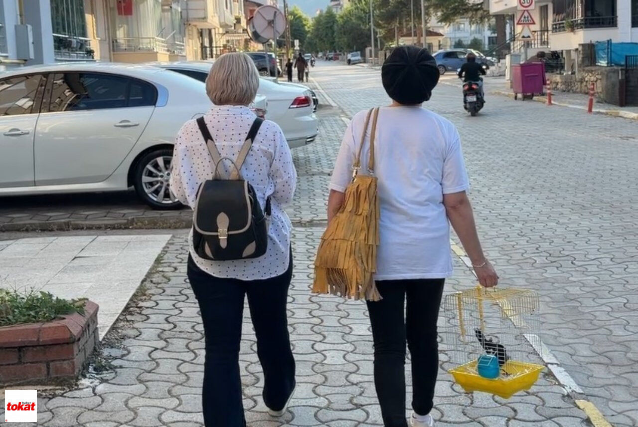 Saksağan5