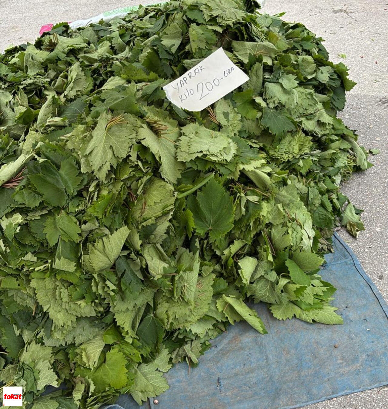 Sebze Pazarı2