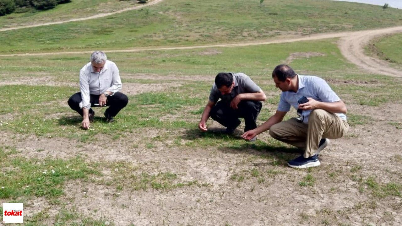 Tokat Yayla Ve Meralarda Inceleme1