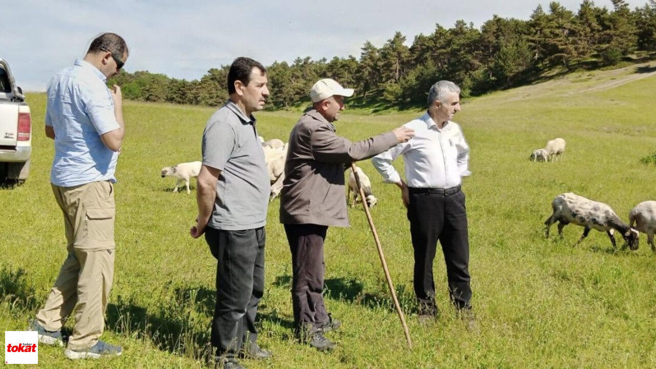 Tokat Yayla Ve Meralarda Inceleme4