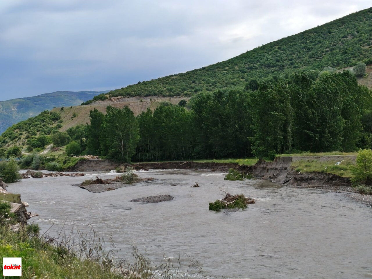 Yeşilırmakk (1)