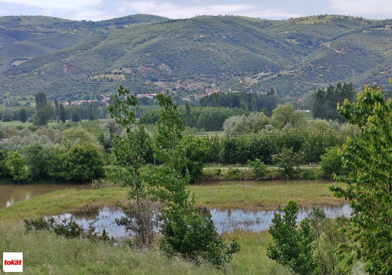 Yeşilırmakk (2)