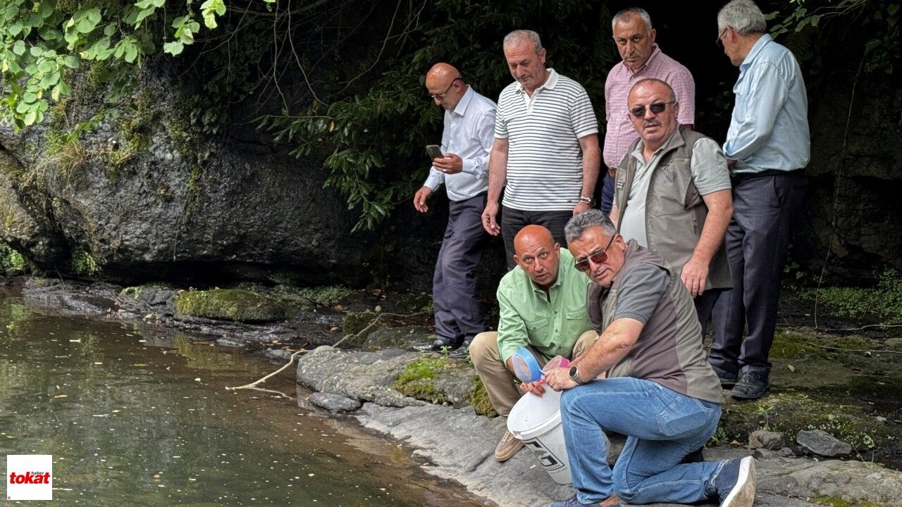Amasya, Çorum, Ordu, Samsun Ve Tokat’ta Derelere 21 Yılda 1 Milyon 161 Bin Alabalık Salındı4