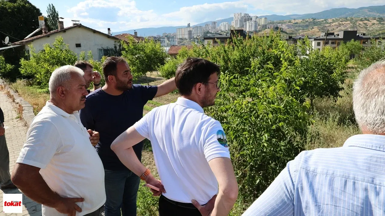 Belediye Mahalle (3)