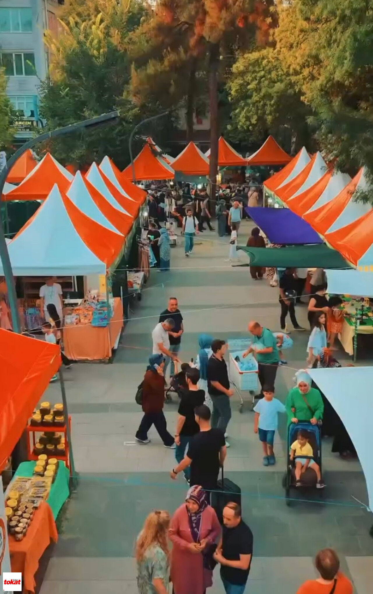Erbaa Yaprak Festivali