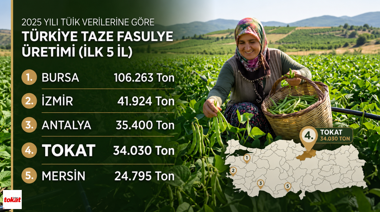 Fasülye (4)