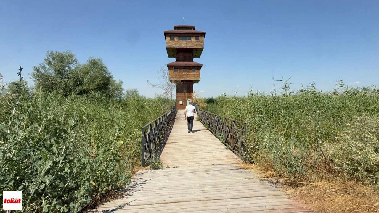 Kaz Gölü (2)-1