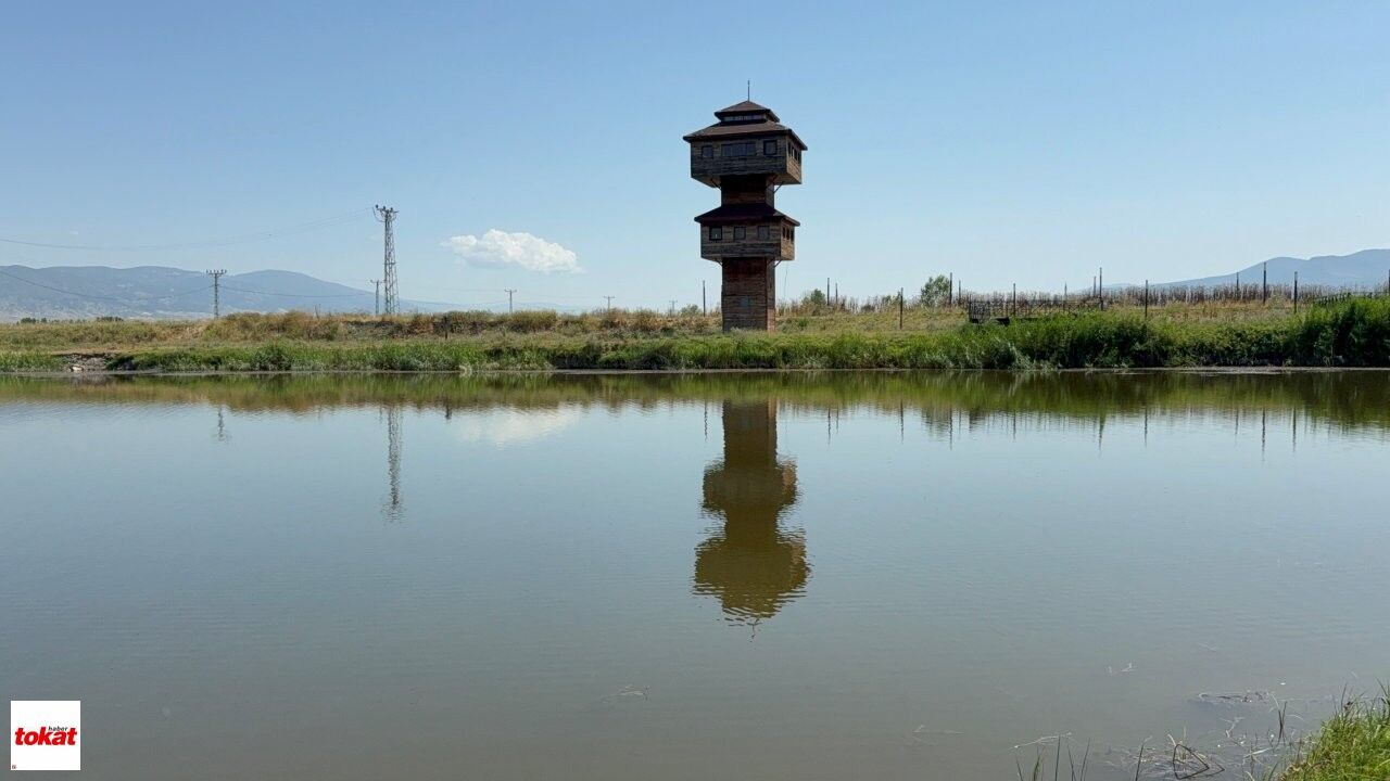 Kaz Gölü (7)-1