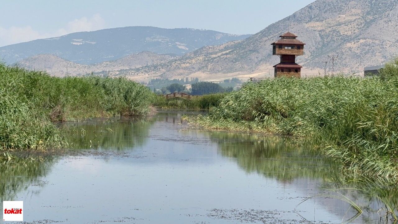 Kaz Gölü (8)