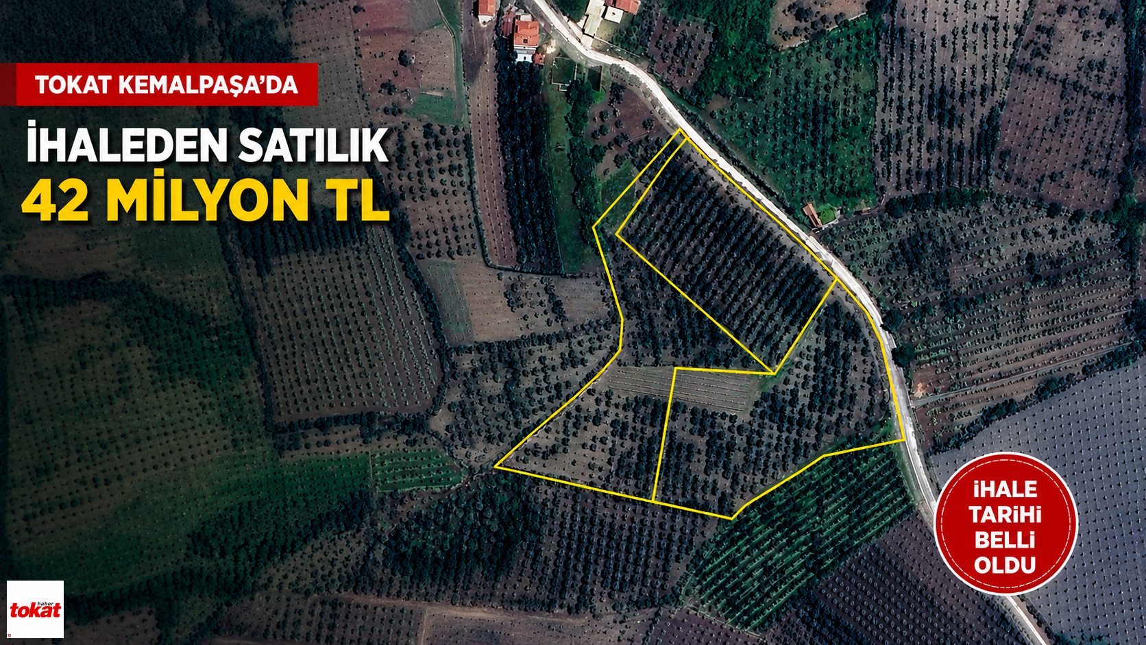 Tokat'ta 42 Milyon TL'lik Meyve Bahçesi İhaleyle Satışa Çıkıyor