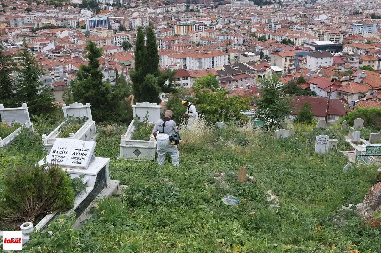 Mezarlık3-3