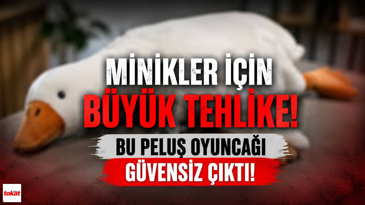 Minikler İçin Büyük Tehlike! Bu Peluş Oyuncağı Güvensiz Çıktı!