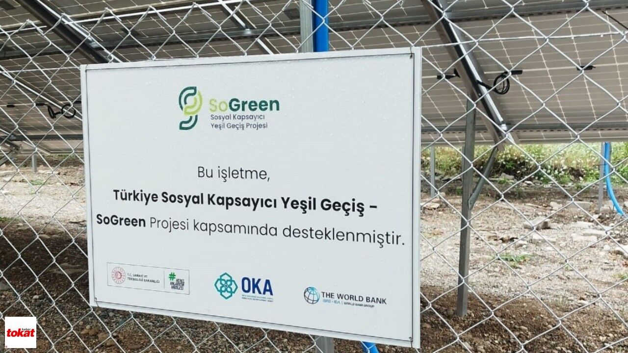 Niksar'da Sürdürülebilir Tarım Hamlesi Ceviz Üretiminde Yeşil Dönüşüm Başladı1