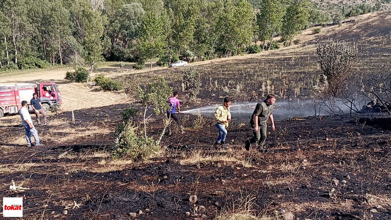 Tokat'ta Örtü Yangını 15 Dönüm Ekili Arazi Küle Döndü2