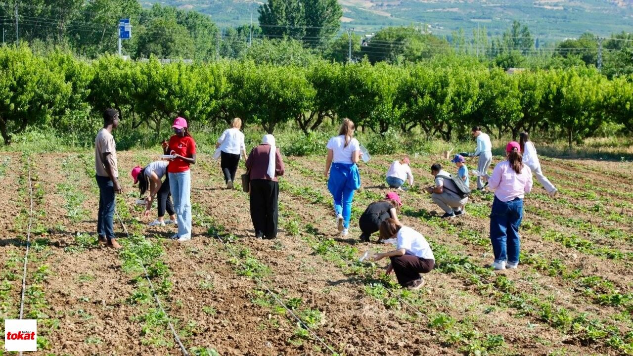 Yabancı Öğrencilerr (1)