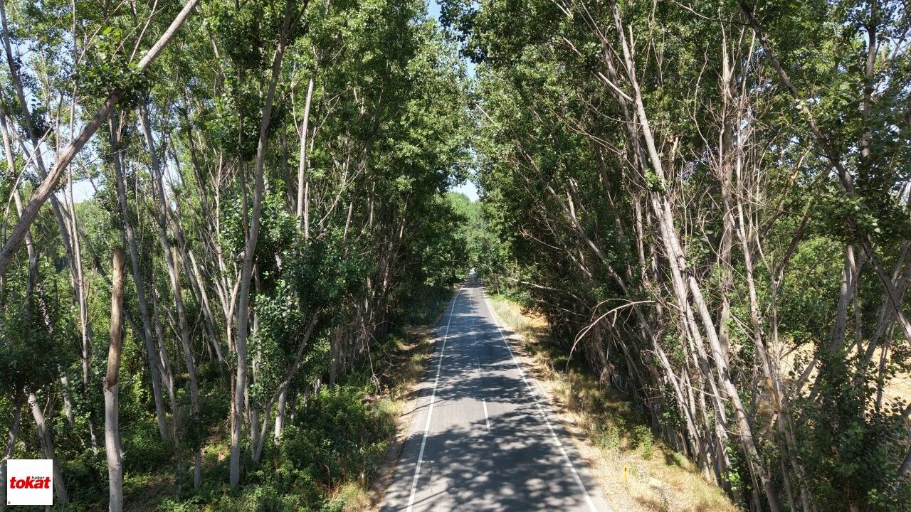 Yeşil Yol (1)