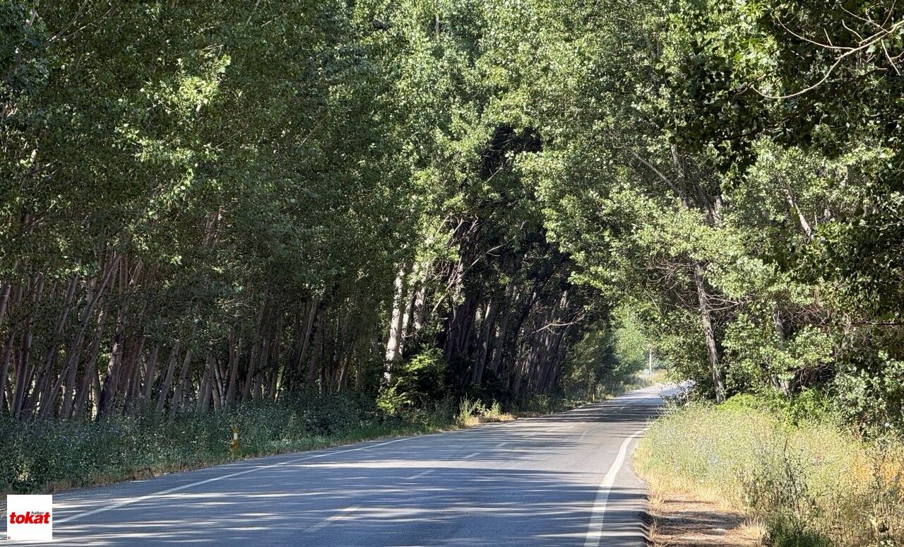 Yeşil Yol (5)
