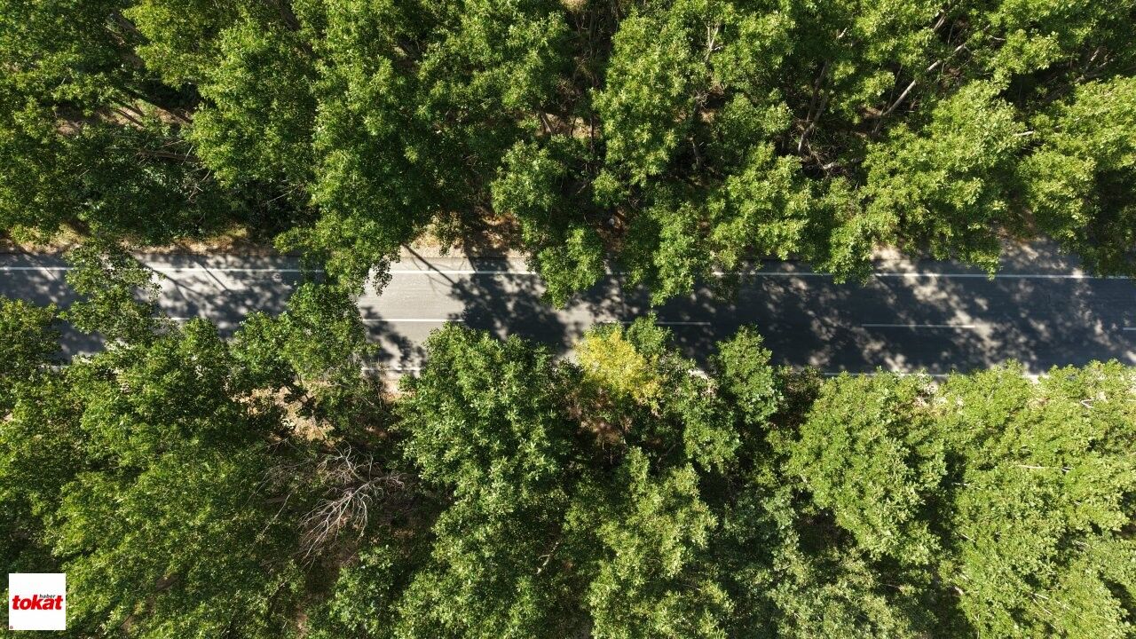 Yeşil Yol (8)
