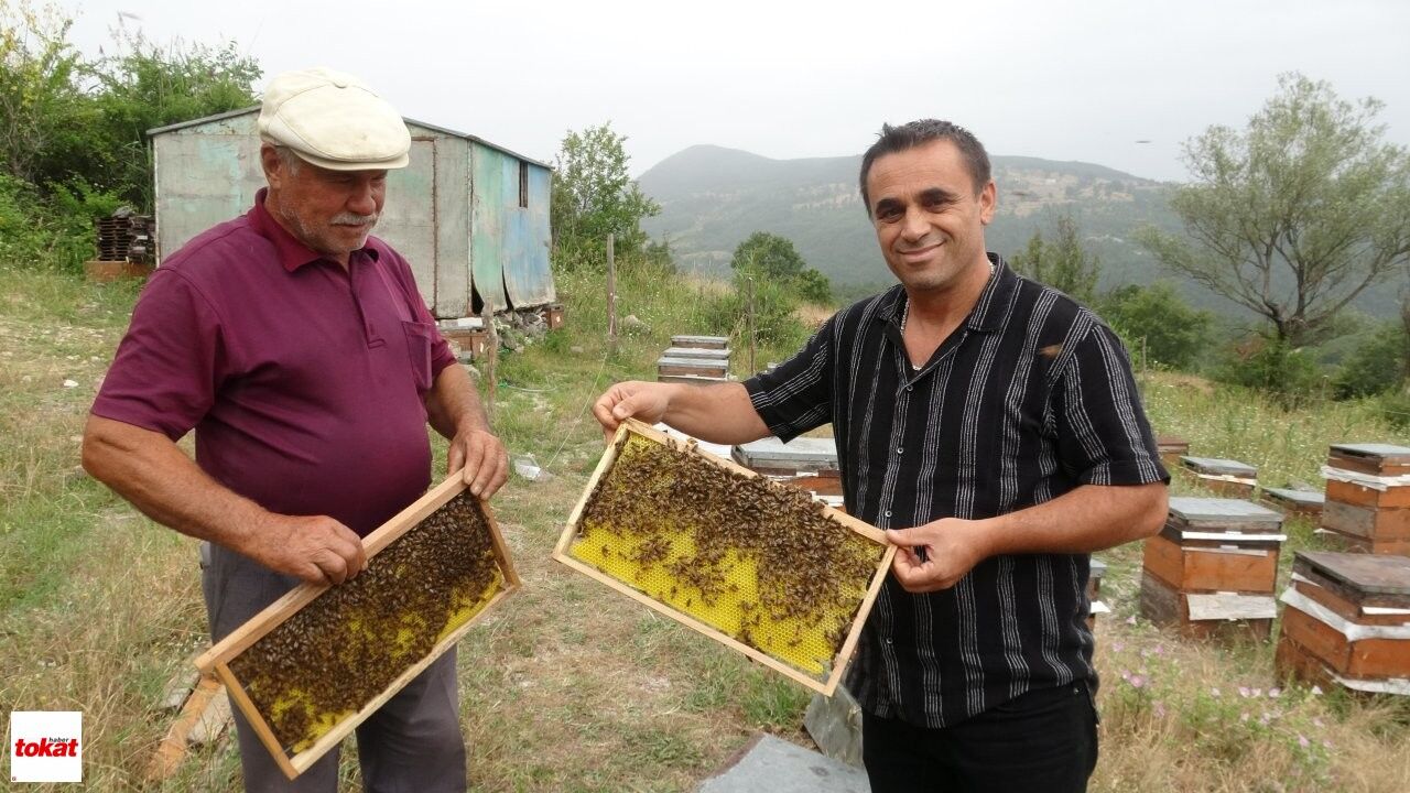 Arıcılık (7)