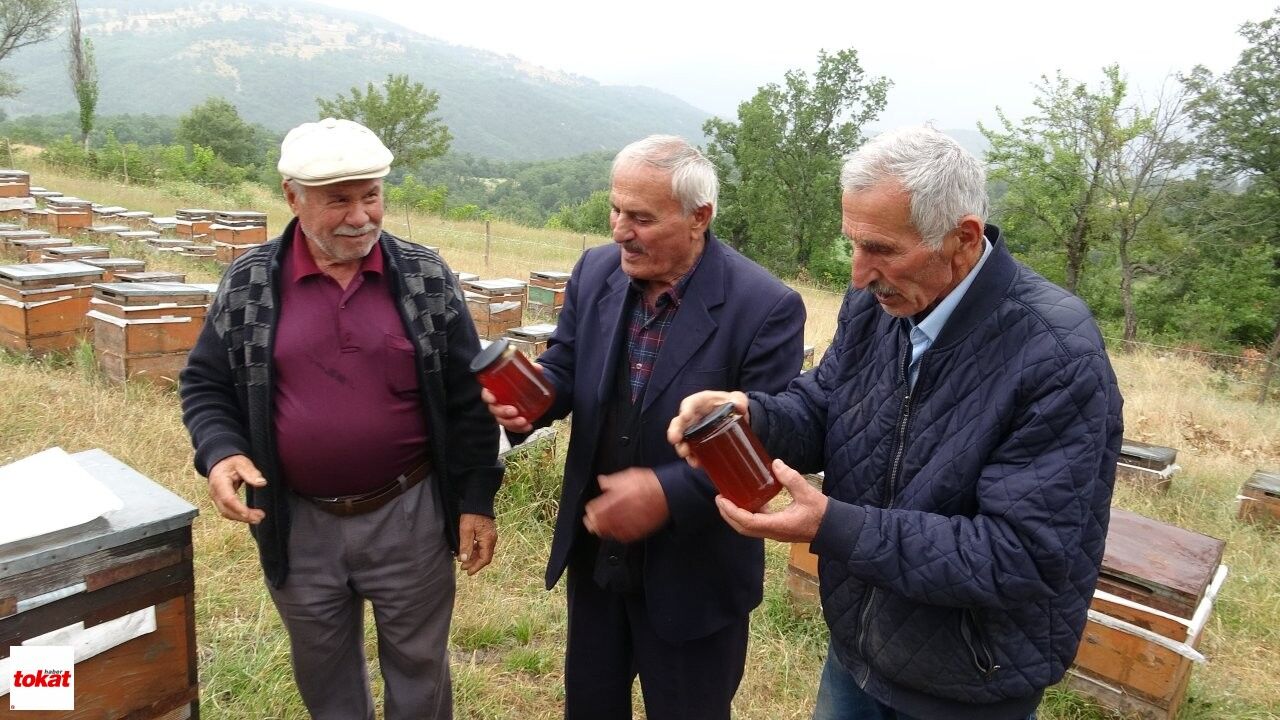 Arıcılık (8)