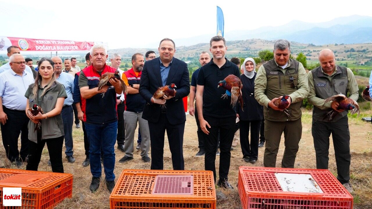 Erbaa Belediyesi'nden Keneyle Mücadeleye Halkalı Sülün Ve Kekliklerle Destek