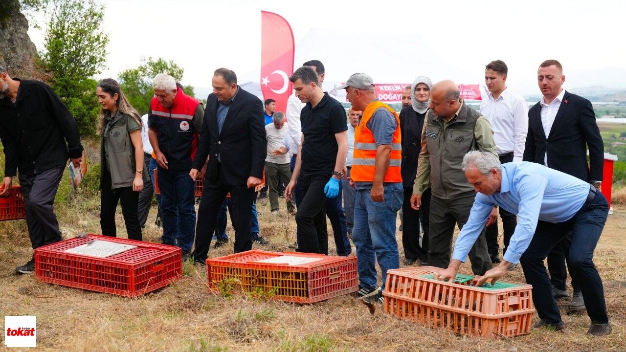 Erbaa Belediyesi'nden Keneyle Mücadeleye Halkalı Sülün Ve Kekliklerle Destek3