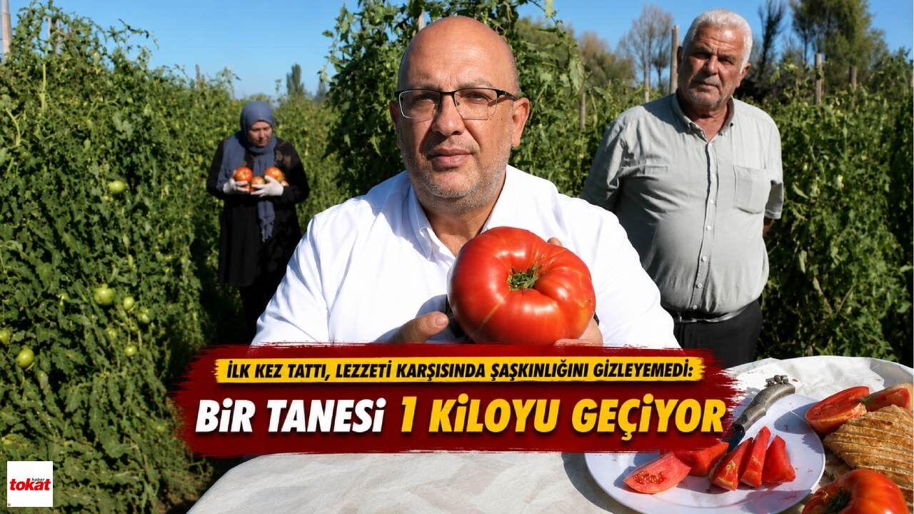 İlk kez tattı, lezzeti karşısında şaşkınlığını gizleyemedi: Bir tanesi 1 kiloyu geçiyor