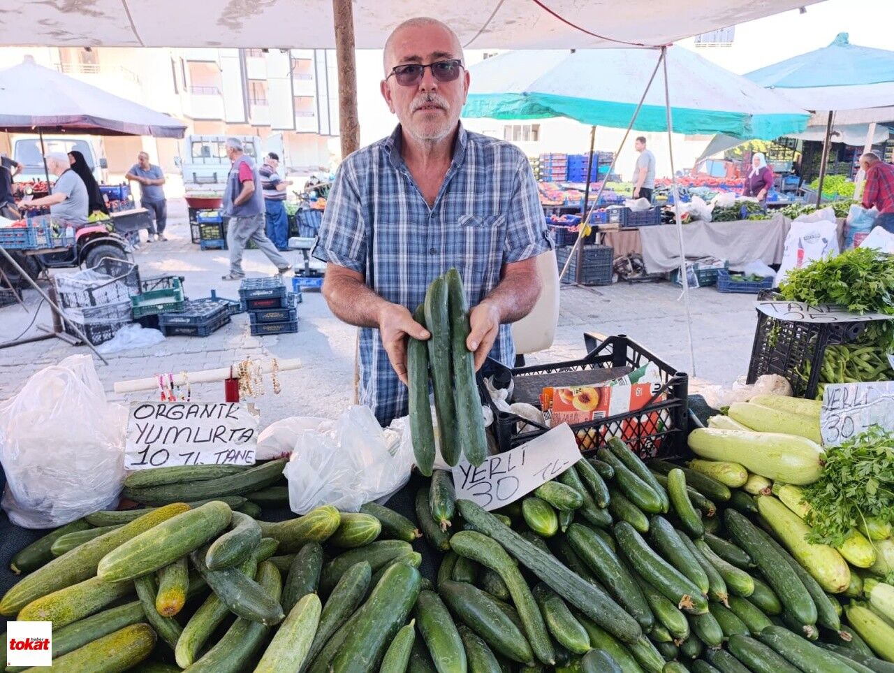 Niksar Dev Salatalık Ve Kabak