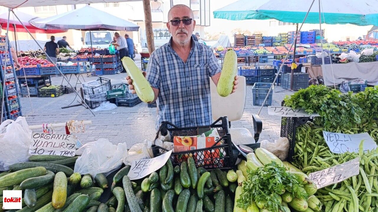Niksar Dev Salatalık Ve Kabak1
