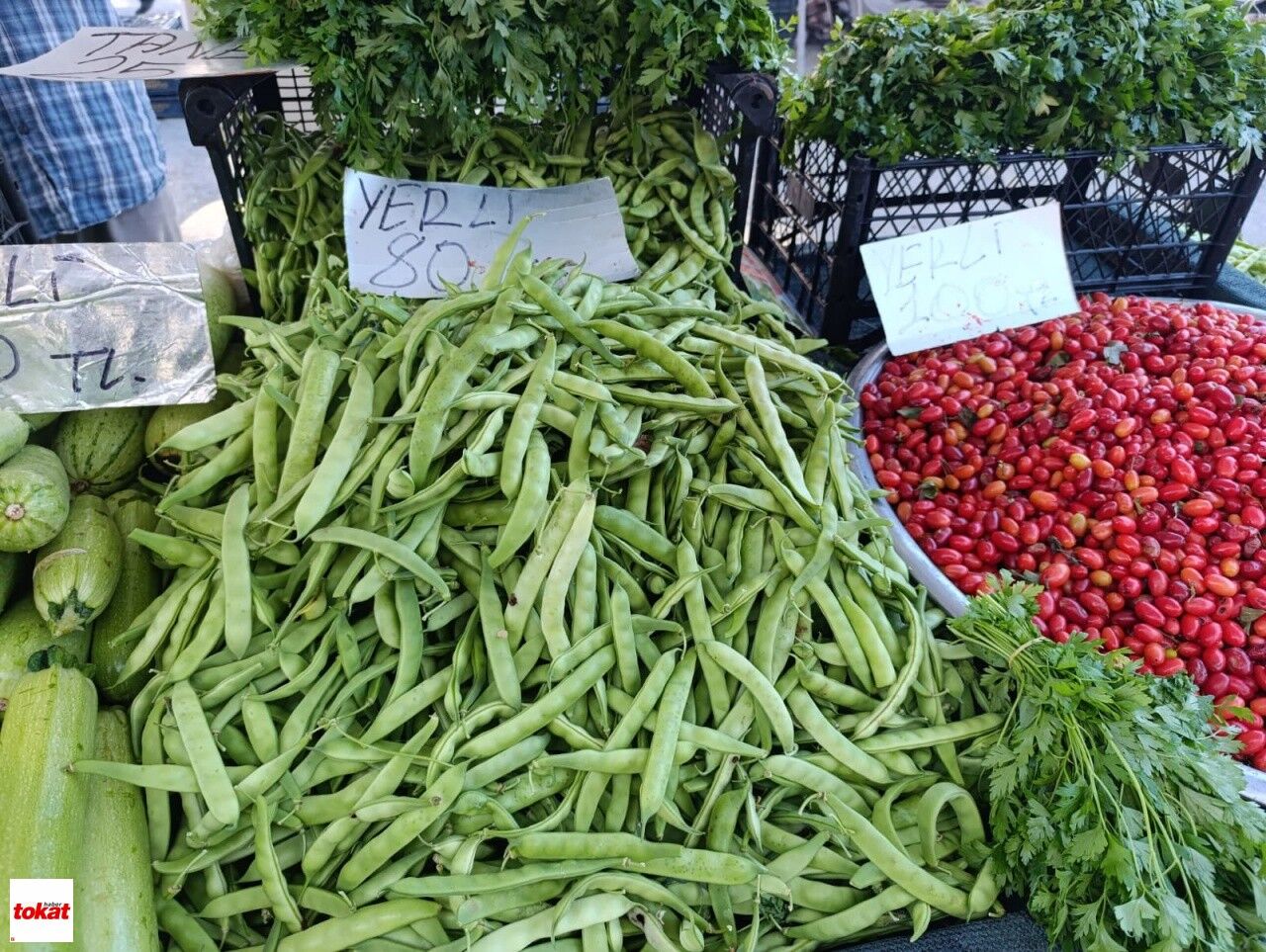 Niksar Dev Salatalık Ve Kabak4