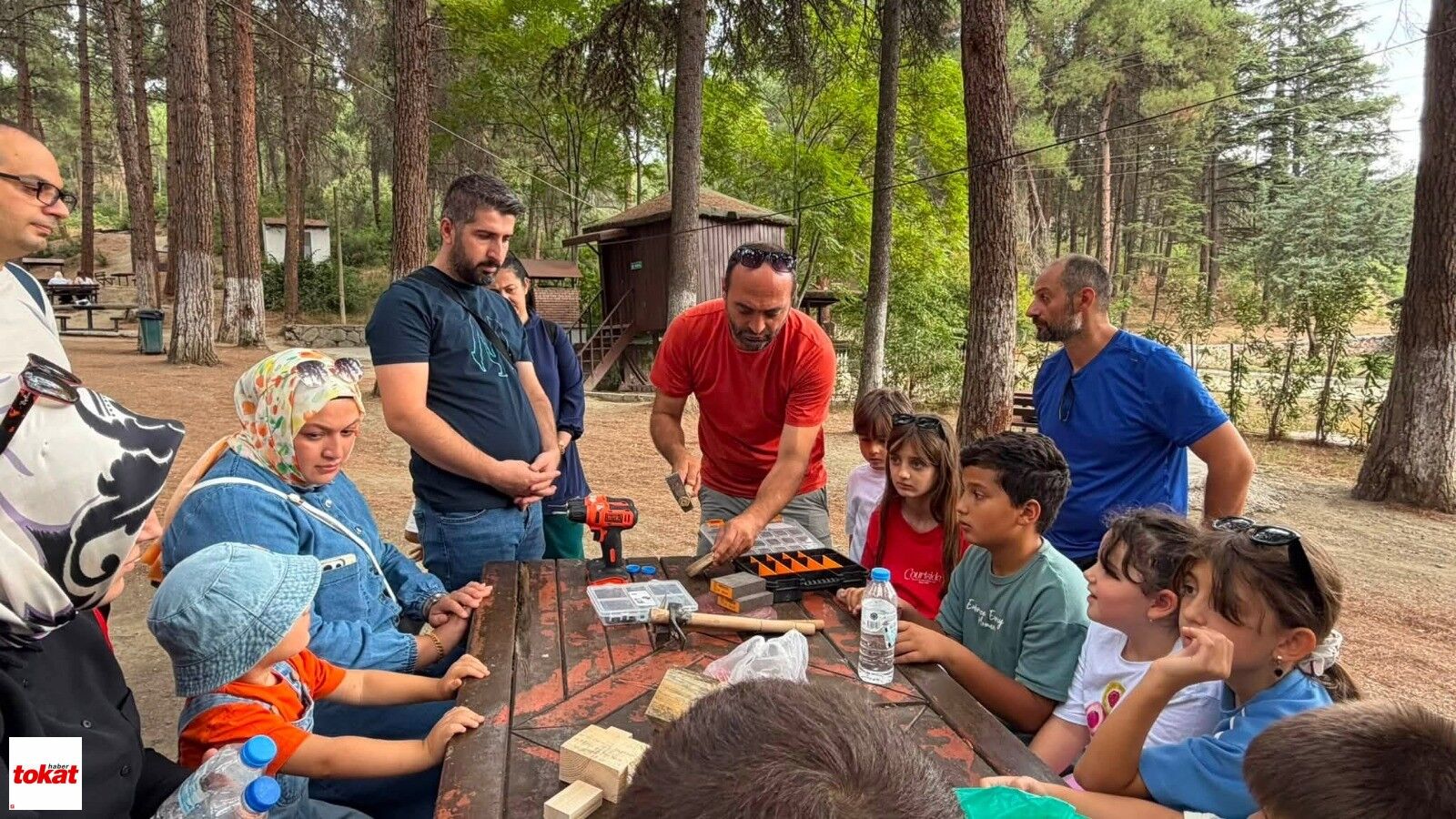 Niksar Doğa (3)