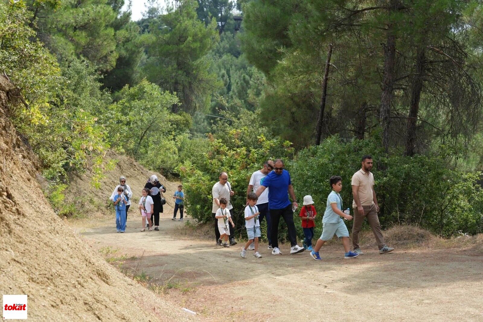 Niksar Doğa (5)