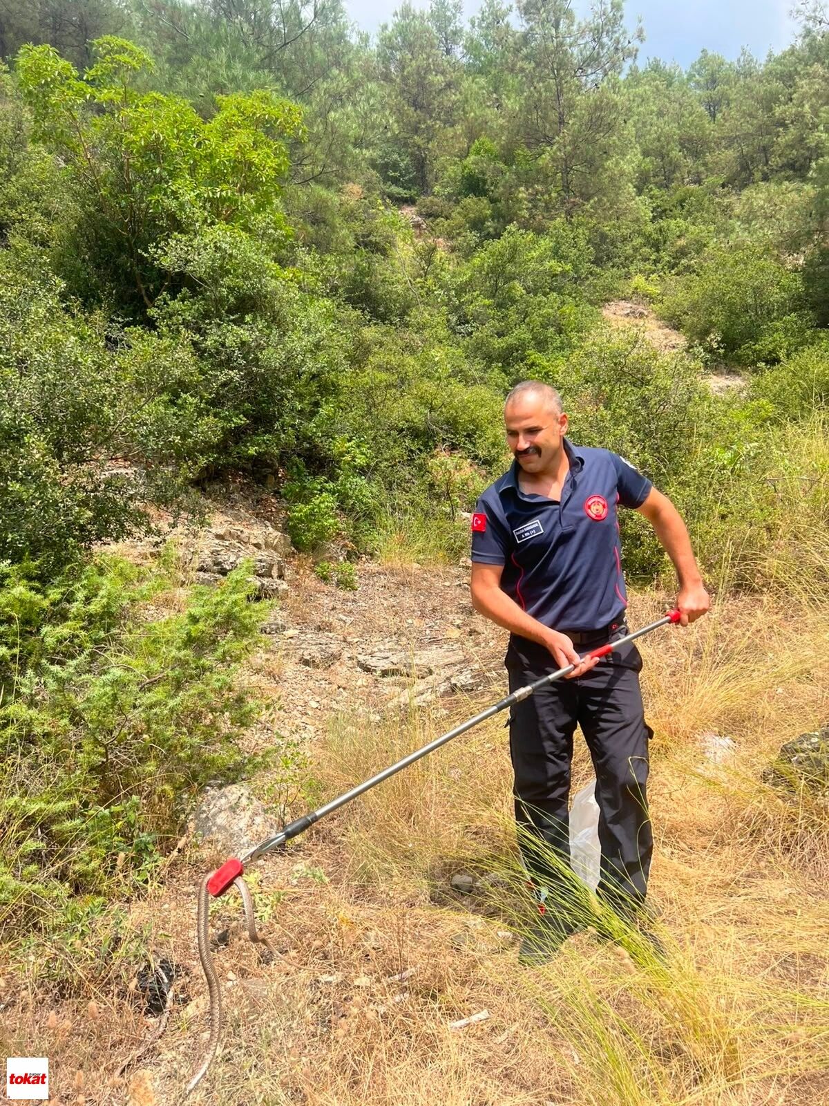 Niksar Yılan (1)