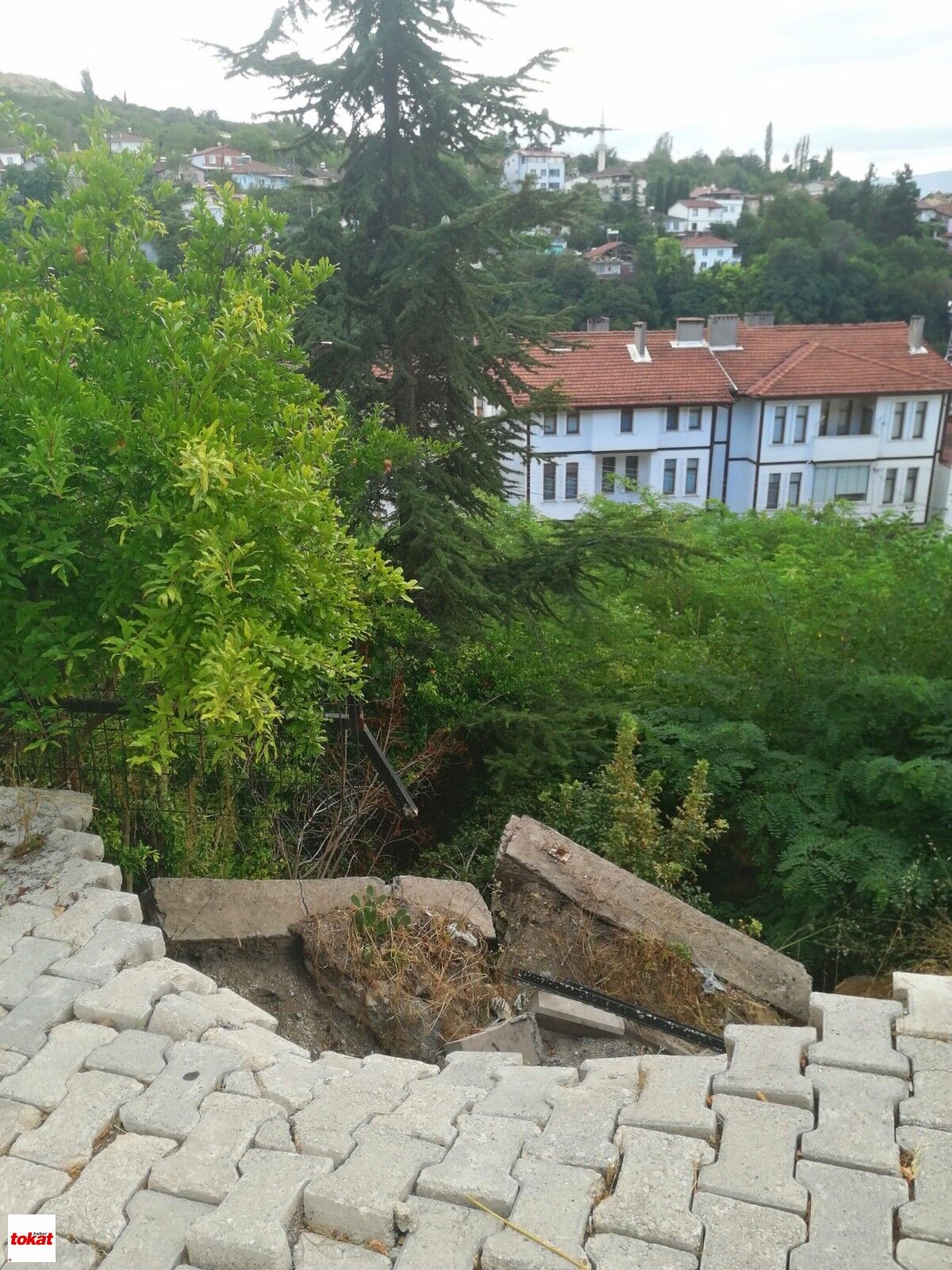 Niksar Yol (3)-1