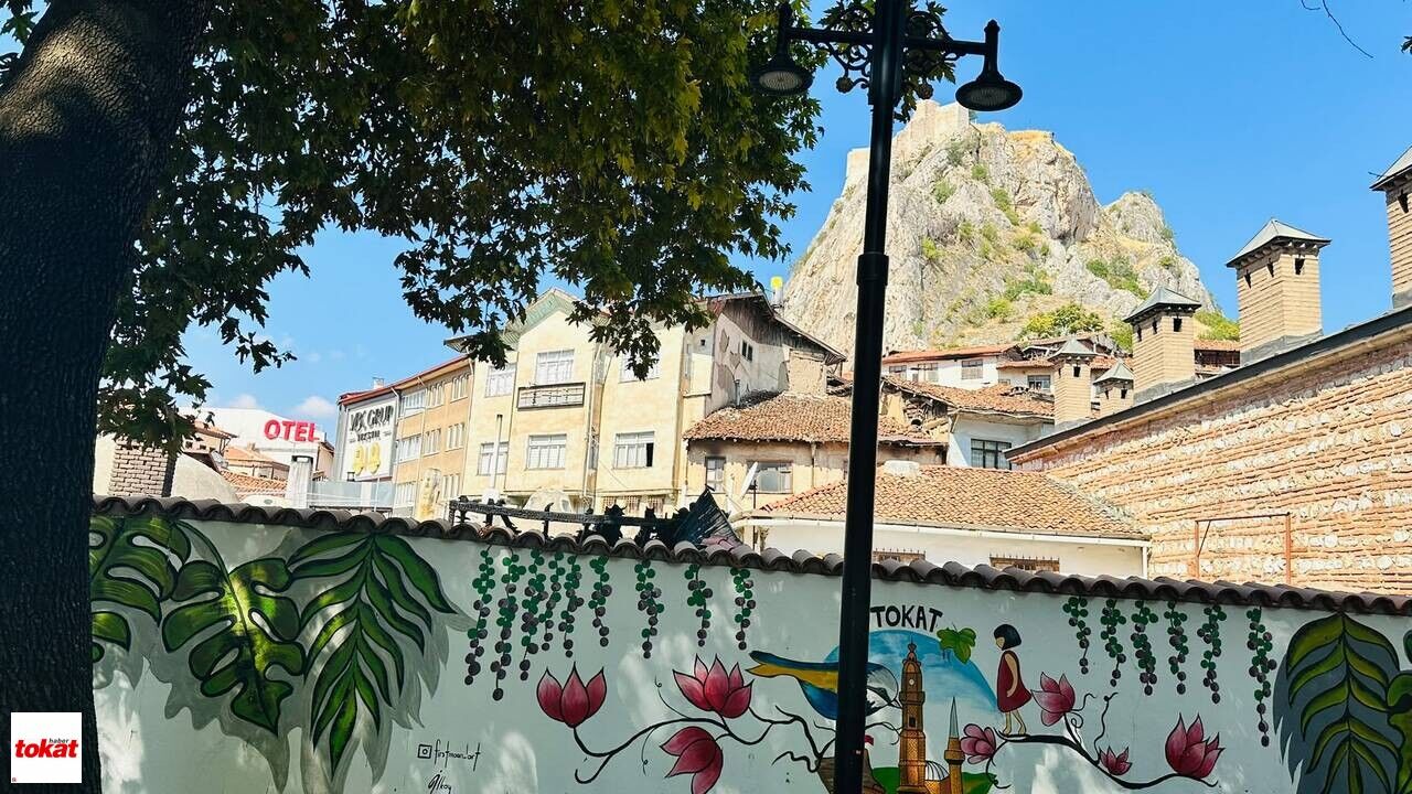 Pervane Hamamı (4)