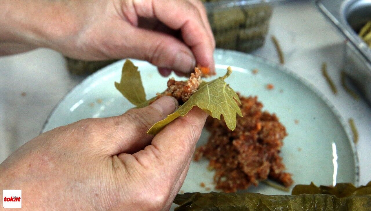 Sarma (2)-1