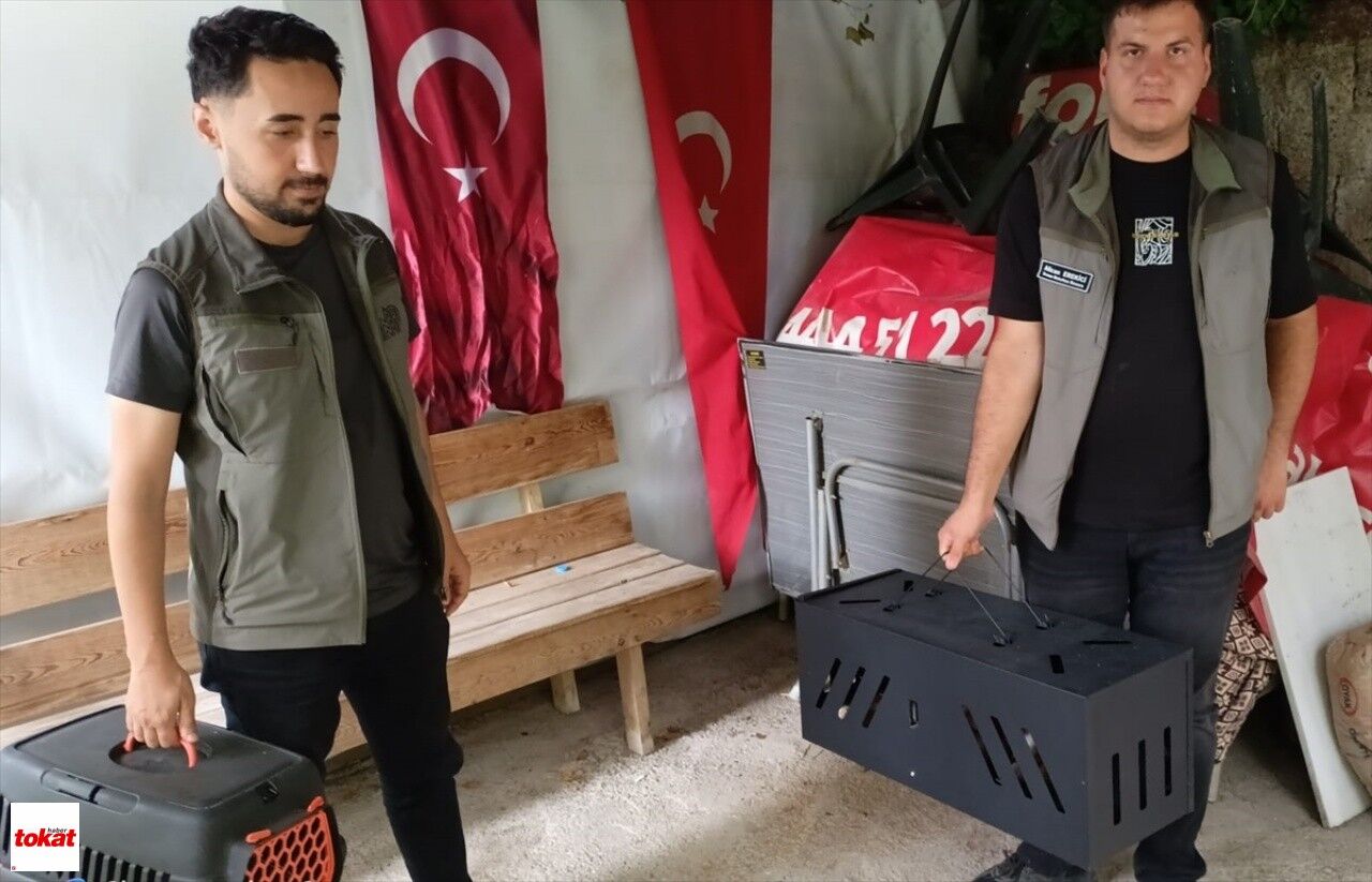 Tokat'ta Çukura Düşen Tilki Yavrusu Kurtarıldı1