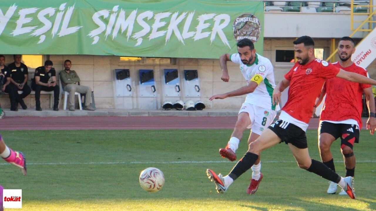 Amasya Fk Gölcükspor5