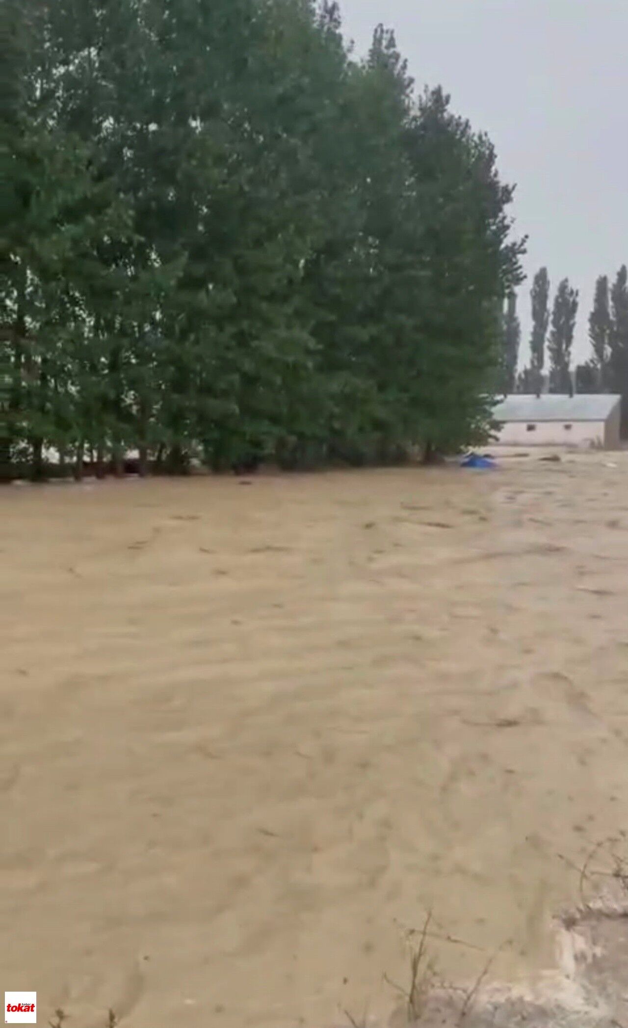 Sivas’ta Meydana Gelen Sel Köyde Maddi Hasara Yol Açtı