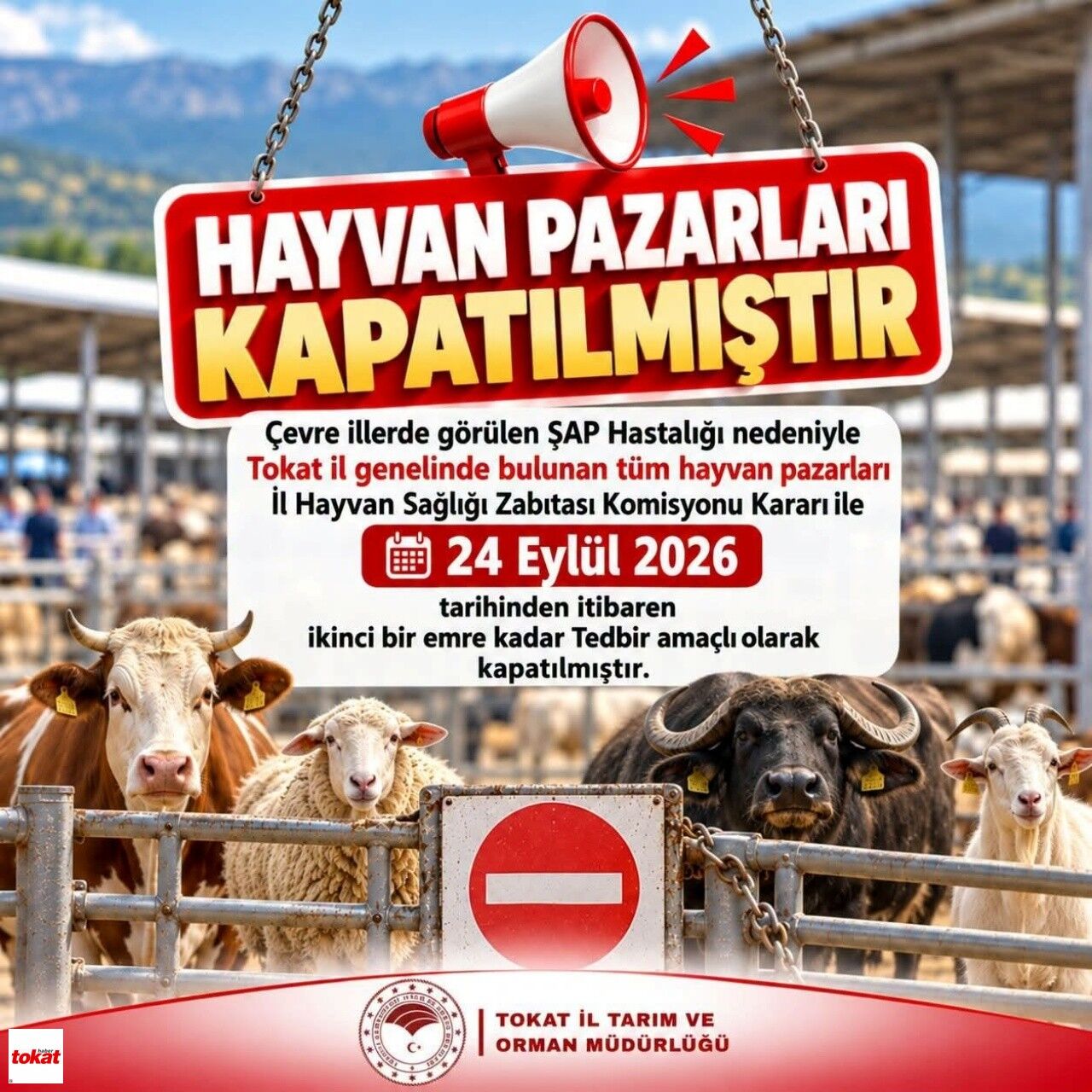 Tokat Il Geneli Hayvan Pazarları Kapatıldı