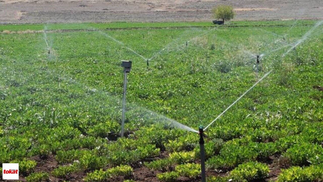 Tokatlı üreticilerin beklediği liste yayımlandı: 5 gün askıda kalacak, son tarih 28 Eylül