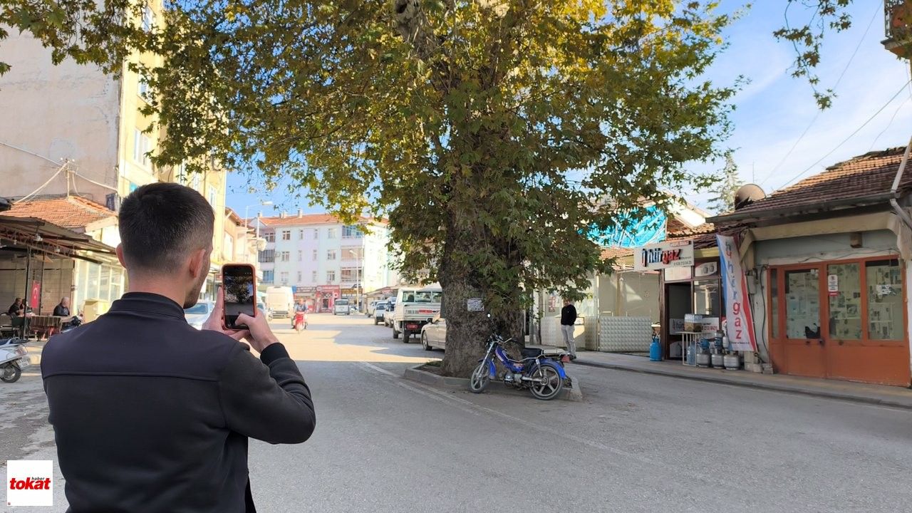 Ağaç (2)-1